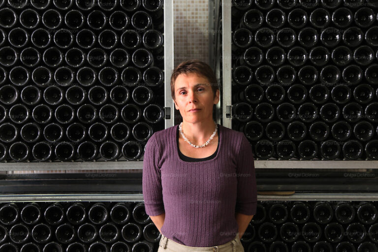 Dominique Moreau, female vigneron, with champagne bottles, at her domaine brand 'Marie-Courtin'. at Polisot, Champagne ArdennesA new generation of vignerons around Troyes, city of the Aube, the forgotten region of Champagne, France. These new, but not necessarily young, producers, make Champagnes that are in many ways anti-Champagnes. Where Champagne for a century has made a myth of the art of blending, in which the usual distinctions of terroir, grape and vintage disappear into the house blend, these producers take a Burgundian approach to making Champagne, emphasizing all these qualities that are taken for granted as important in other regions but are largely ignored in Champagne. In a sense they each are a microcosm for larger changes taking place throughout the Champagne region, not just in the Cote des Bars, and for changing perceptions of Champagne on the part of American consumers
