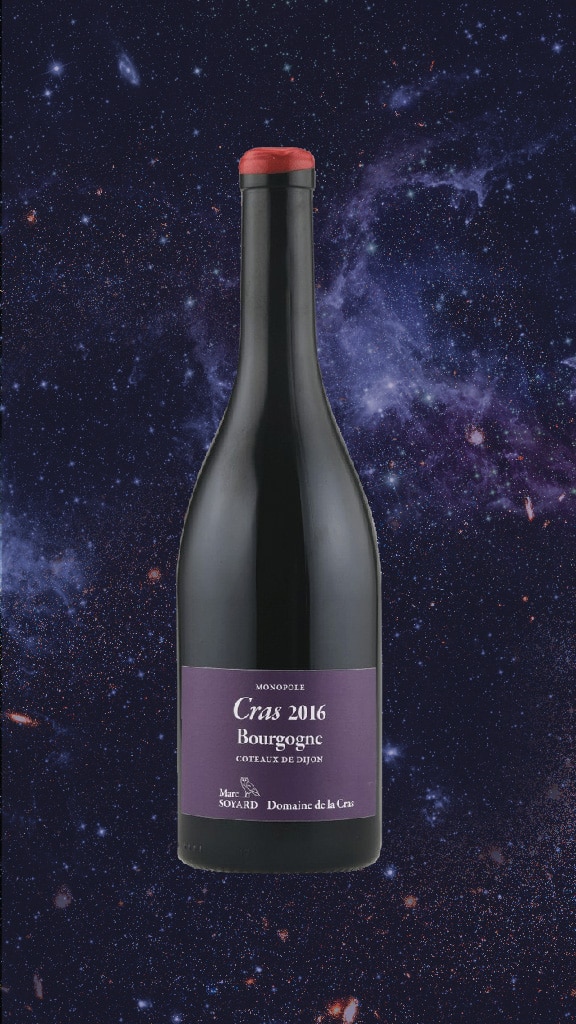 space-wine-marc-soyard-bourgogne-rouge-monopole