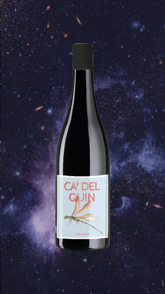 space-wine-ca-del-quin