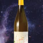 space-wine-escargot-tricot