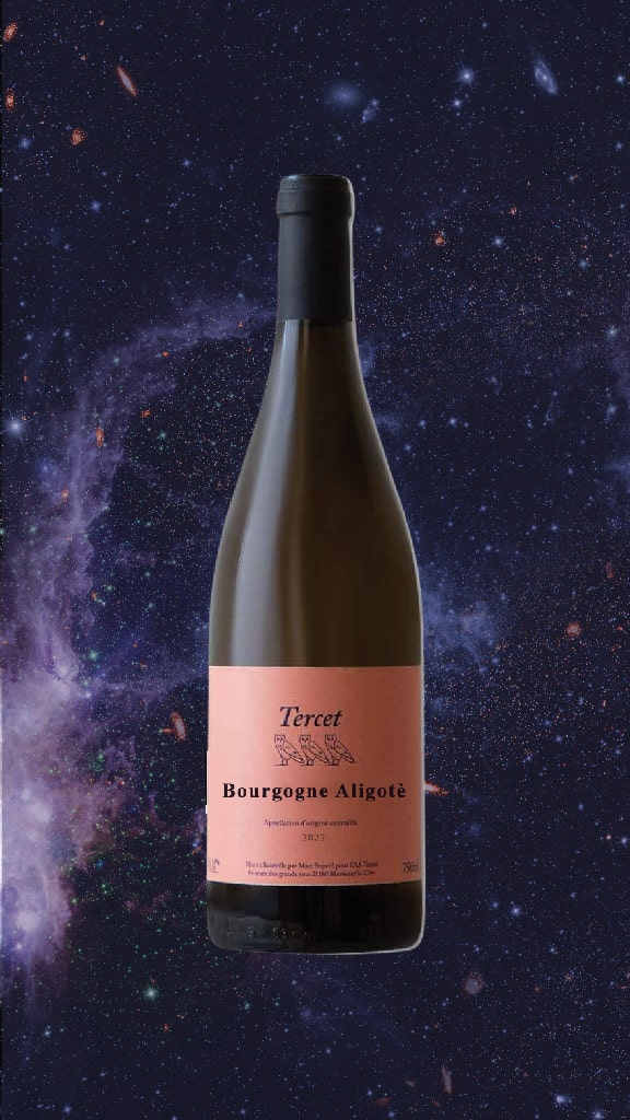 space-wine-tercet-bourgogne-aligote