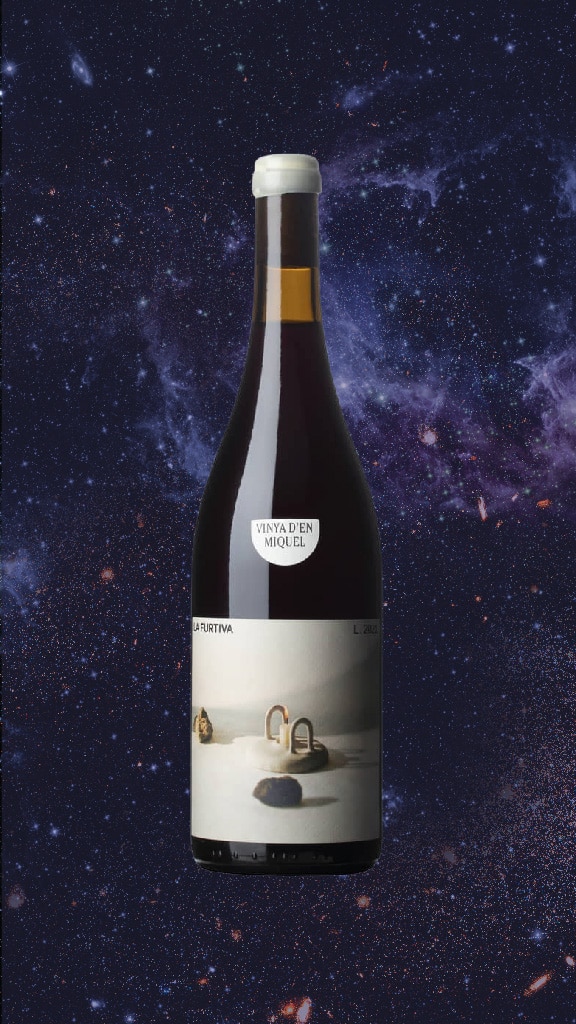 space-wine-vinya-den-miquel